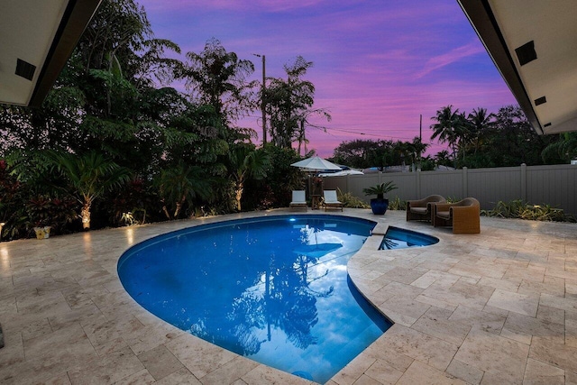 view of pool with a patio area