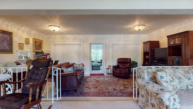 living area featuring crown molding