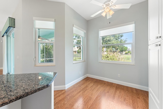 dining room featuring ceiling fan and light hardwood / wood-style floors