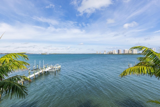 property view of water with a boat dock