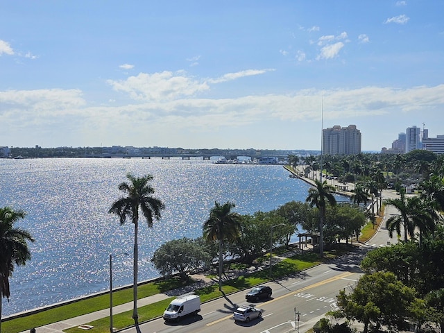 property view of water