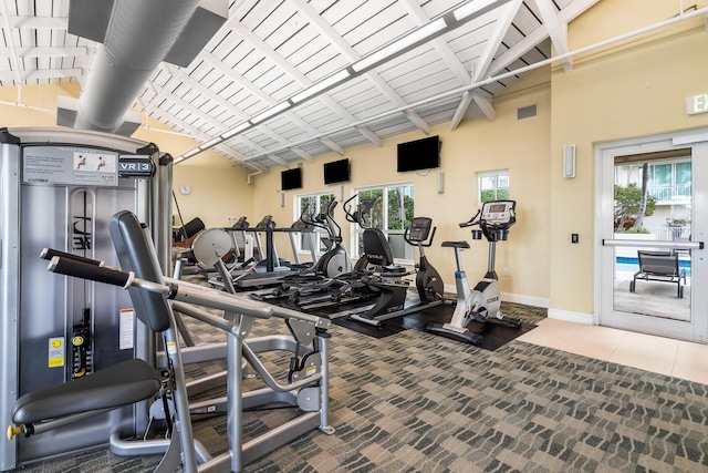 workout area featuring a healthy amount of sunlight