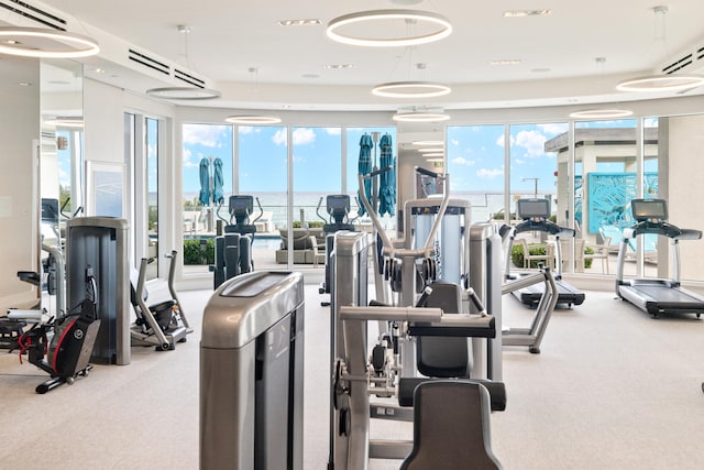 exercise room with carpet flooring