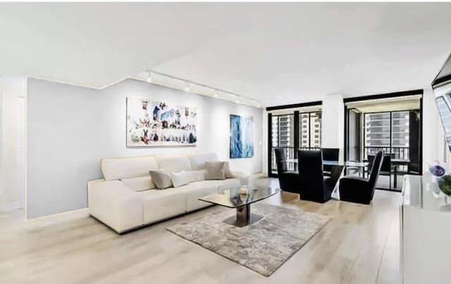 living room featuring track lighting, wood finished floors, and a wealth of natural light