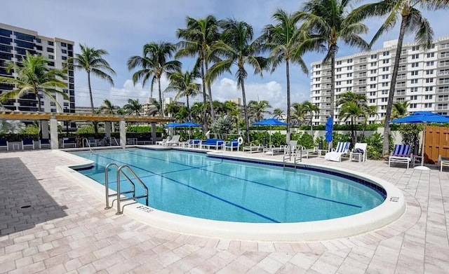 view of pool with a patio area