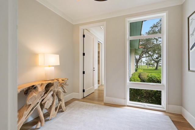 doorway to outside featuring crown molding and light hardwood / wood-style floors