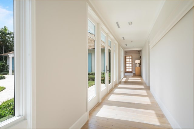 corridor with plenty of natural light, light hardwood / wood-style flooring, crown molding, and french doors