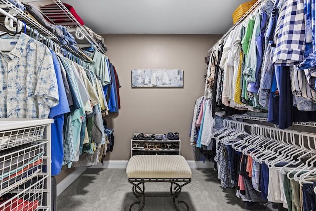 spacious closet featuring carpet flooring