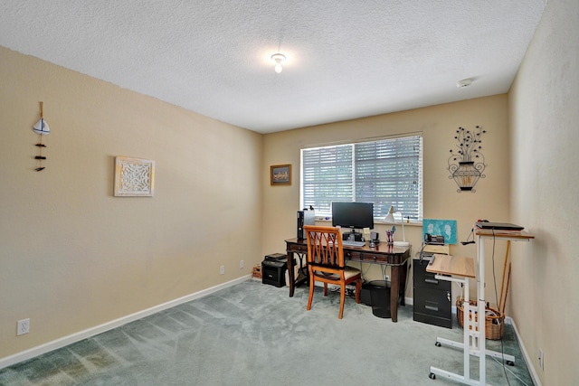 office space with carpet floors