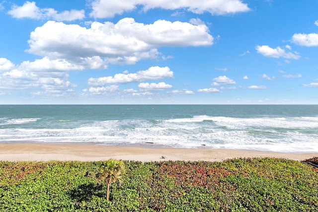 water view featuring a beach view