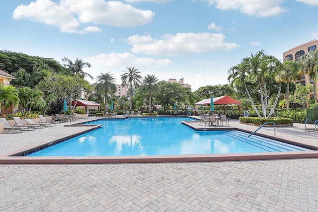 view of pool featuring a patio