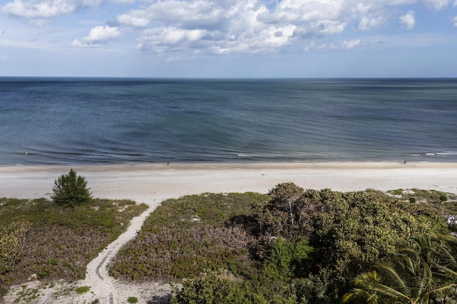 property view of water featuring a view of the beach