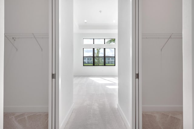 interior space with carpet flooring