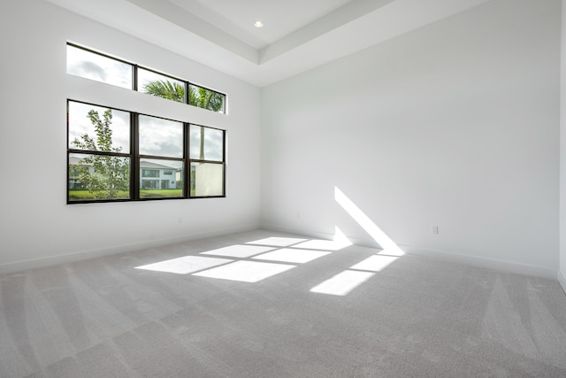 carpeted spare room with a towering ceiling