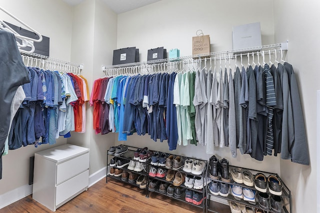 spacious closet with wood-type flooring