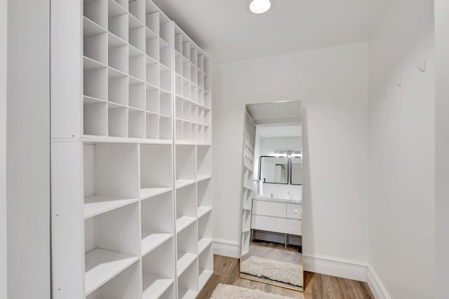 walk in closet featuring hardwood / wood-style flooring