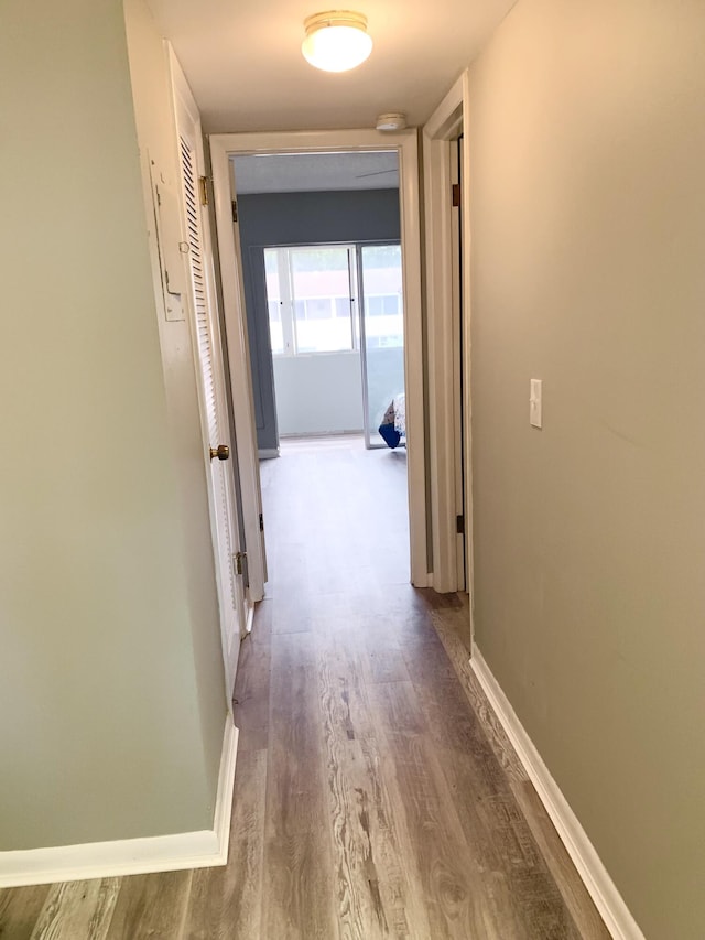 bedroom with a wall mounted AC, access to exterior, and wood finished floors