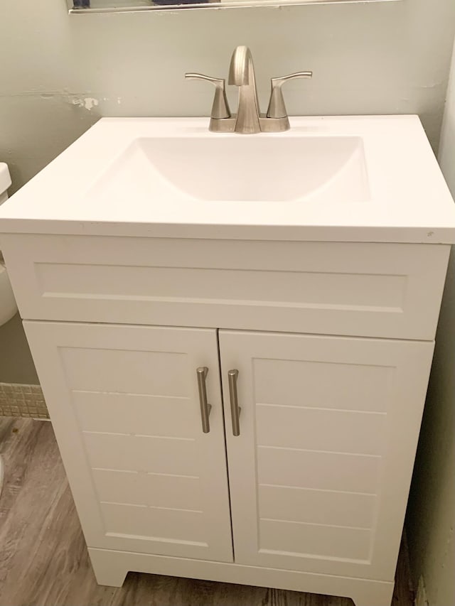 bathroom with vanity and wood-type flooring