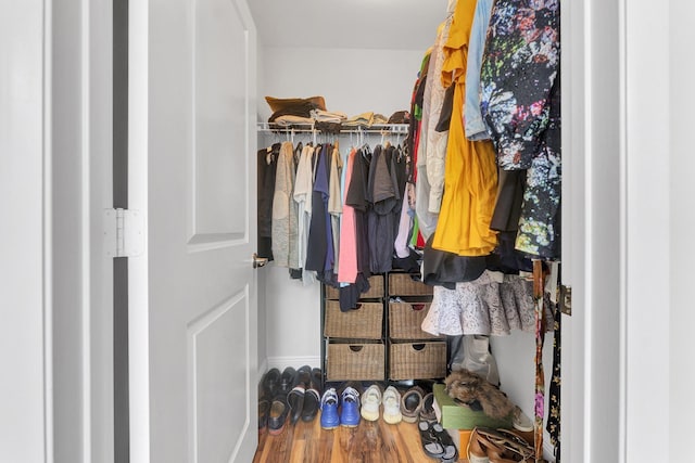 walk in closet featuring hardwood / wood-style flooring