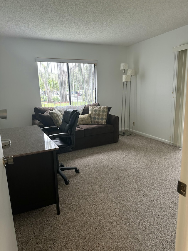 carpeted office space featuring a textured ceiling