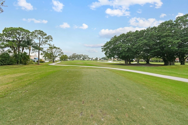 view of home's community with a lawn