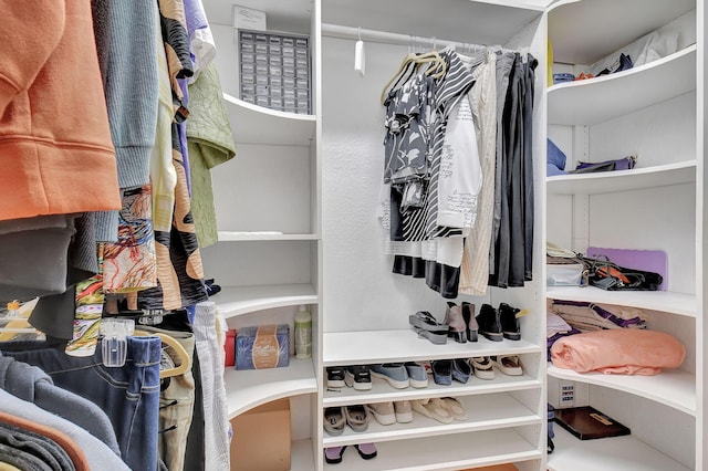 view of walk in closet