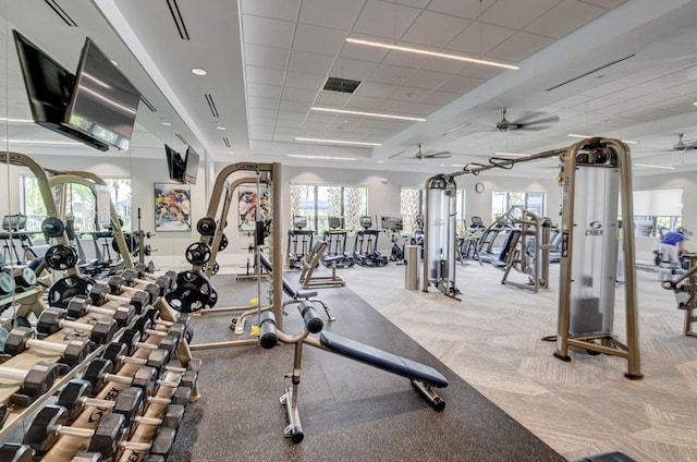 exercise room featuring light carpet, a paneled ceiling, and ceiling fan