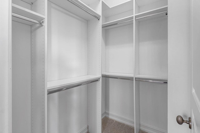 walk in closet with carpet floors