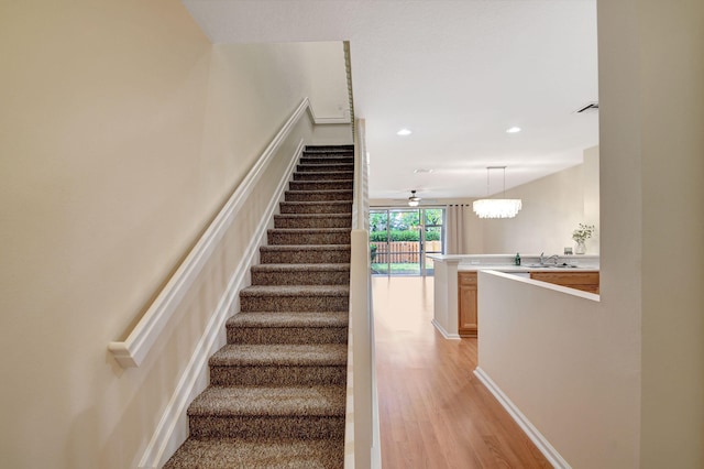 stairway featuring ceiling fan, sink, and hardwood / wood-style floors