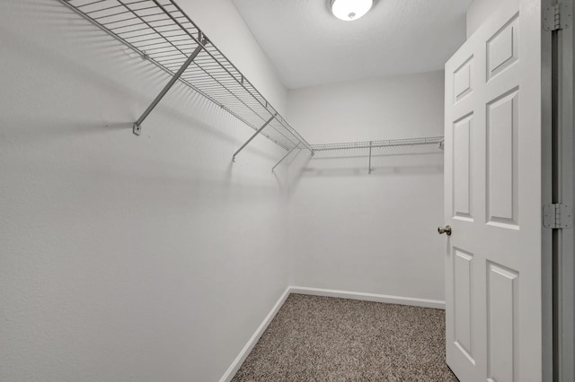 spacious closet with carpet floors