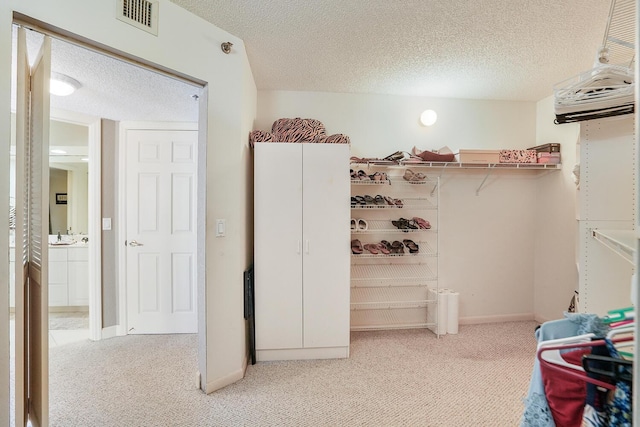 spacious closet with light colored carpet