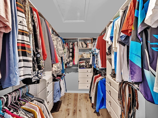 spacious closet with light hardwood / wood-style flooring