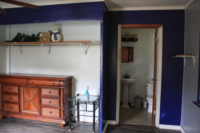 interior space featuring toilet, wood-type flooring, sink, and crown molding