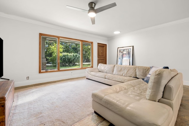 living room with crown molding and ceiling fan