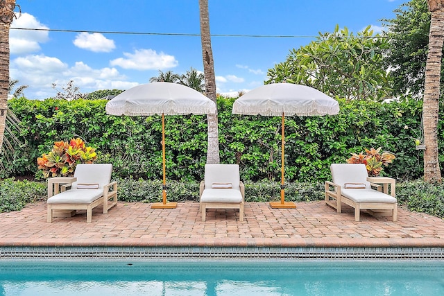 view of pool featuring a patio