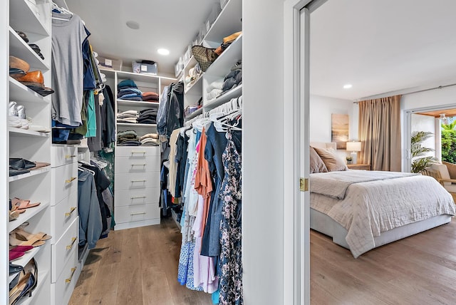 spacious closet with light hardwood / wood-style flooring