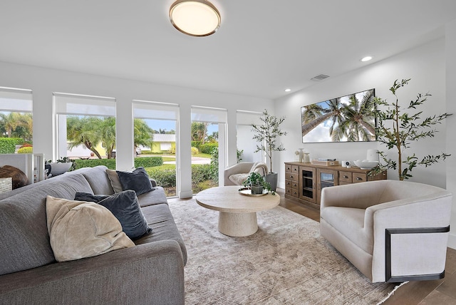 living room with hardwood / wood-style flooring