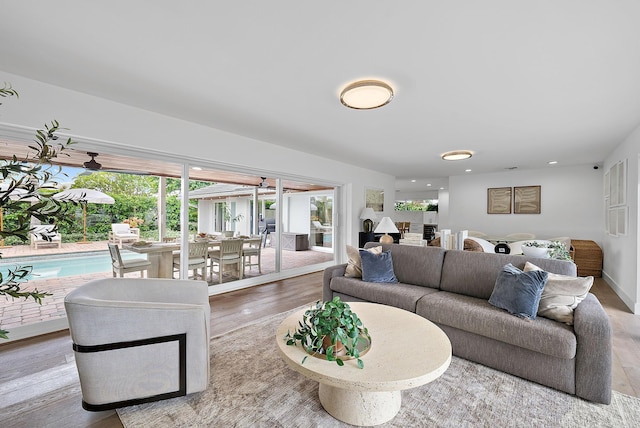 living room featuring a healthy amount of sunlight and light hardwood / wood-style flooring