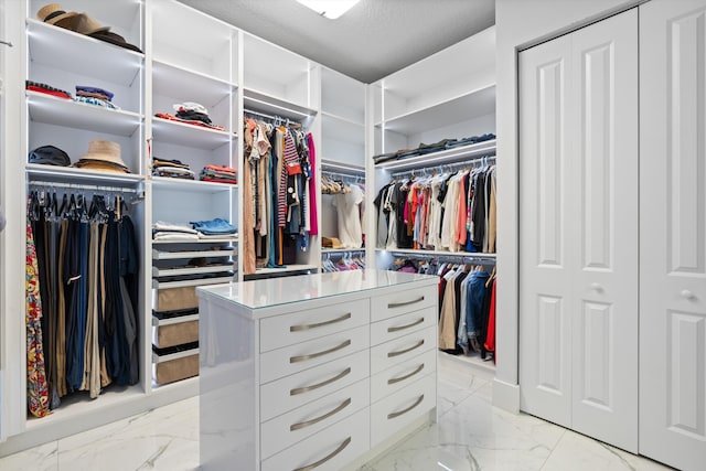 view of walk in closet