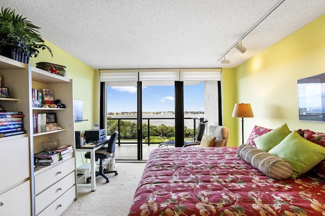 bedroom featuring rail lighting, access to outside, light colored carpet, and a textured ceiling