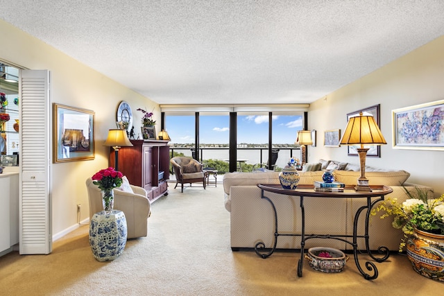 carpeted living room with floor to ceiling windows and a textured ceiling