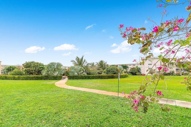 view of community featuring a lawn