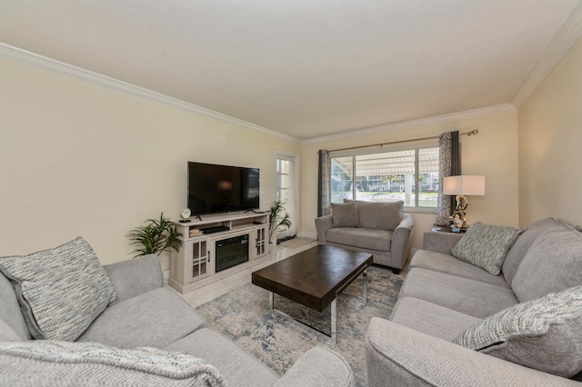 living room featuring ornamental molding