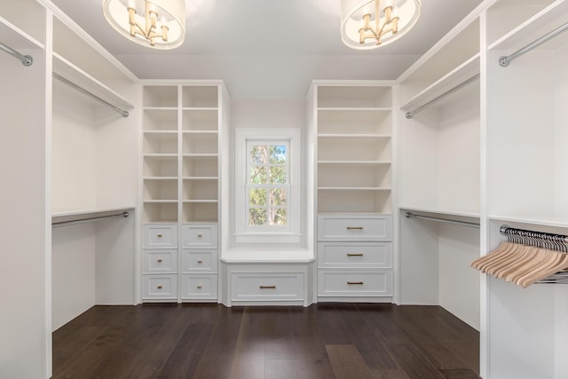 spacious closet featuring dark hardwood / wood-style flooring and a notable chandelier