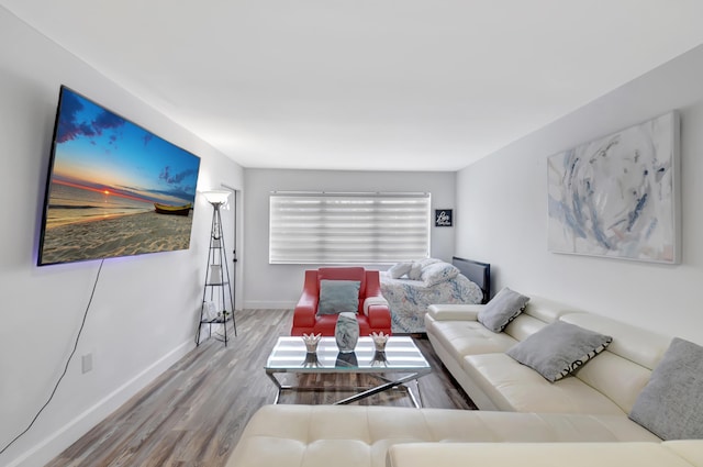 living room with hardwood / wood-style flooring