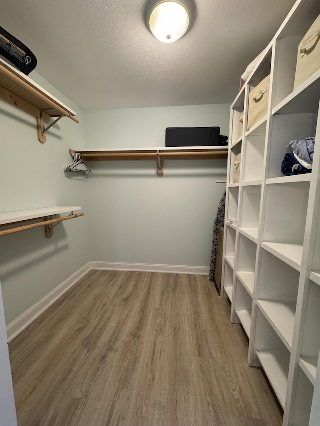 walk in closet with wood finished floors