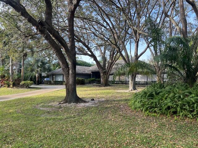 view of front of house featuring a front yard