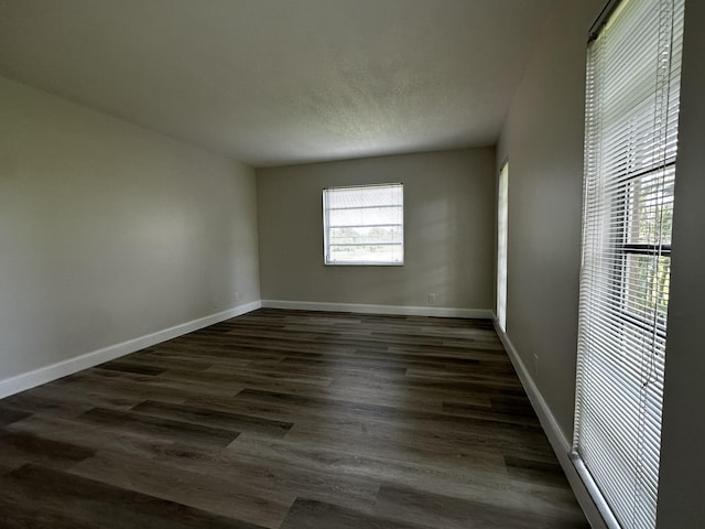 spare room with dark wood-type flooring