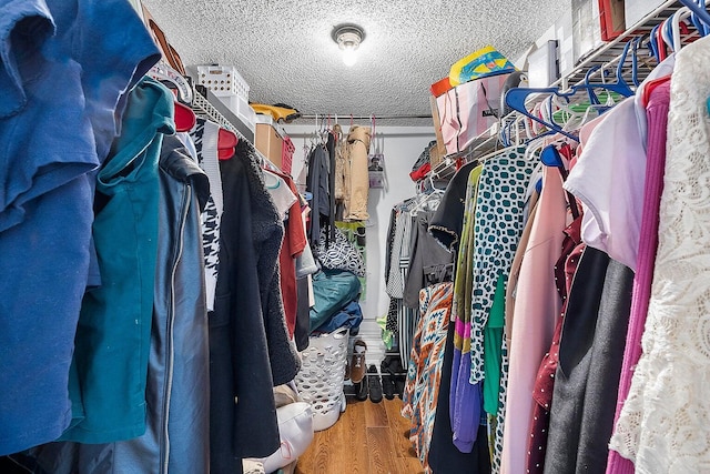 spacious closet featuring hardwood / wood-style floors