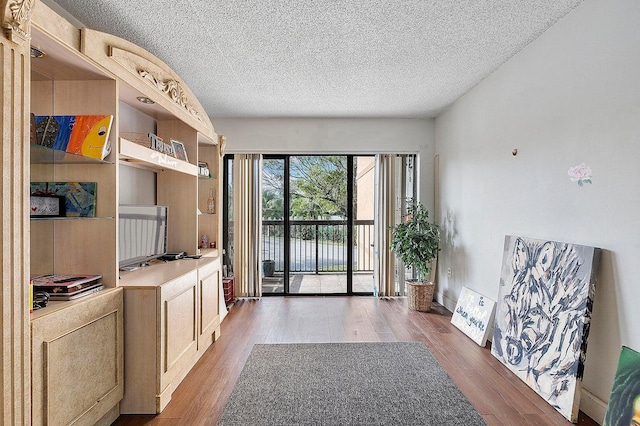 interior space featuring dark wood-type flooring and a textured ceiling